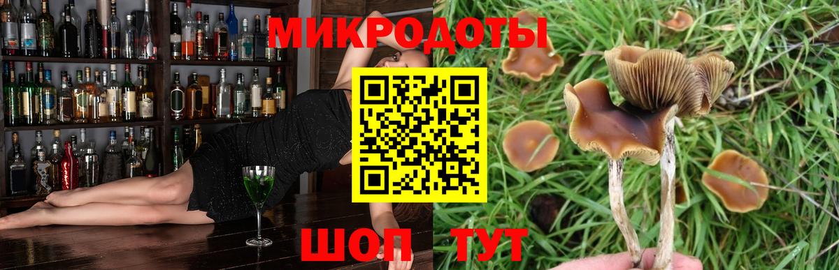 Советск  Псилоцибиновые грибы Psilocybe  Галлюциногенные грибы MAGIC MUSHROOMS  Вход с VPN 